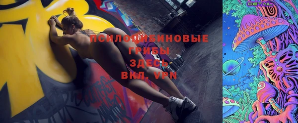 эйфоретик Арсеньев