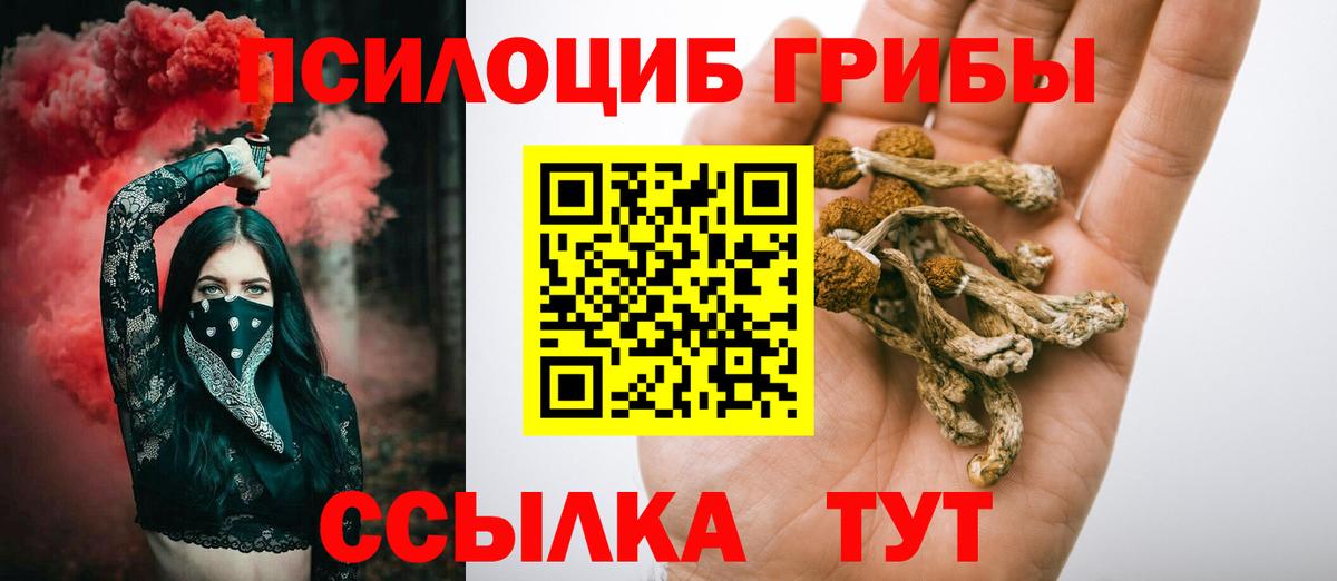 Псилоцибиновые грибы MAGIC MUSHROOMS  Вход с VPN  Домодедово 
