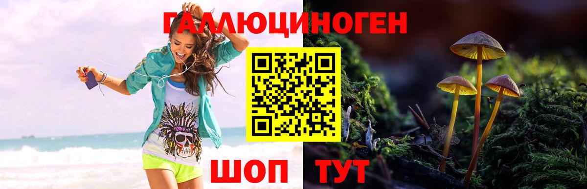 Домодедово  Псилоцибиновые грибы мухоморы  Вход с VPN 